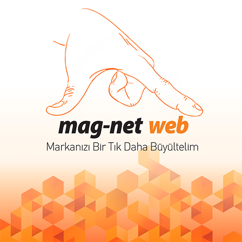 Adana Web Tasarım Şirketleri